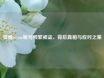 警惕Steam账号频繁被盗，背后真相与应对之策