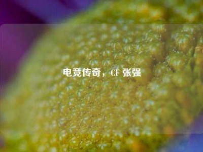 电竞传奇，CF 张强