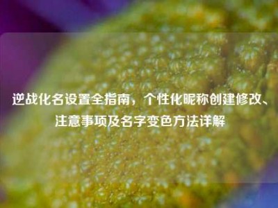 逆战化名设置全指南，个性化昵称创建修改、注意事项及名字变色方法详解