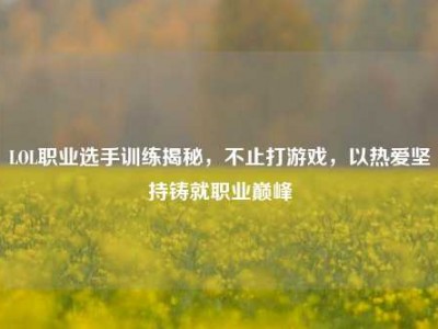 LOL职业选手训练揭秘，不止打游戏，以热爱坚持铸就职业巅峰