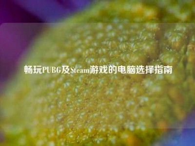 畅玩PUBG及Steam游戏的电脑选择指南