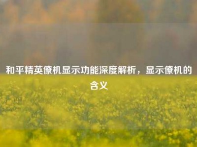 和平精英僚机显示功能深度解析，显示僚机的含义