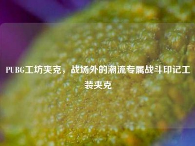 PUBG工坊夹克，战场外的潮流专属战斗印记工装夹克