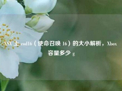 XSX 上 cod16（使命召唤 16）的大小解析，Xbox 容量多少 g