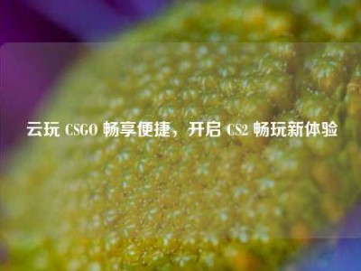 云玩 CSGO 畅享便捷，开启 CS2 畅玩新体验