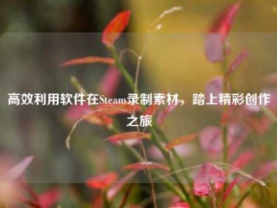 高效利用软件在Steam录制素材，踏上精彩创作之旅