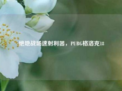 绝地战场速射利器，PUBG格洛克18
