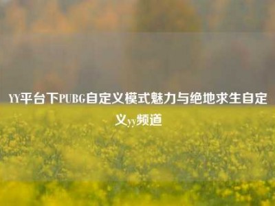 YY平台下PUBG自定义模式魅力与绝地求生自定义yy频道