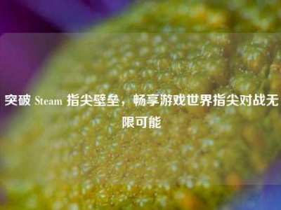 突破 Steam 指尖壁垒，畅享游戏世界指尖对战无限可能