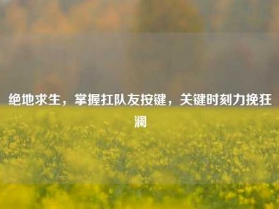 绝地求生，掌握扛队友按键，关键时刻力挽狂澜