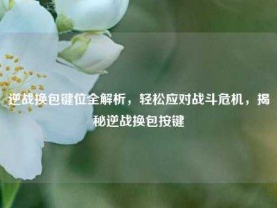 逆战换包键位全解析，轻松应对战斗危机，揭秘逆战换包按键
