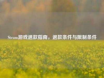 Steam游戏退款指南，退款条件与限制条件