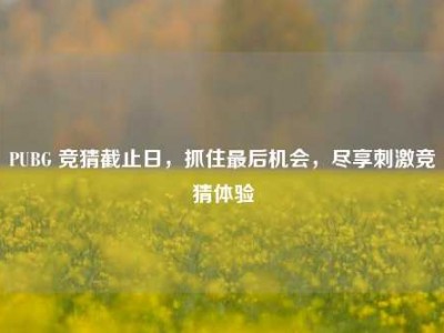 PUBG 竞猜截止日，抓住最后机会，尽享刺激竞猜体验