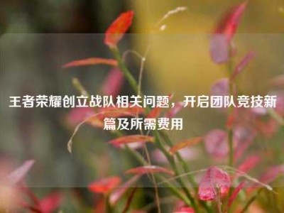 王者荣耀创立战队相关问题，开启团队竞技新篇及所需费用