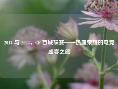 2014 与 2024，CF 百城联赛——热血荣耀的电竞盛宴之旅