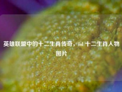英雄联盟中的十二生肖传奇，lol 十二生肖人物图片