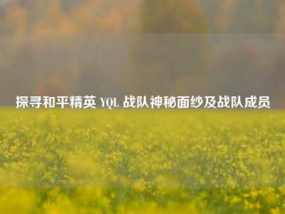 探寻和平精英 YQL 战队神秘面纱及战队成员