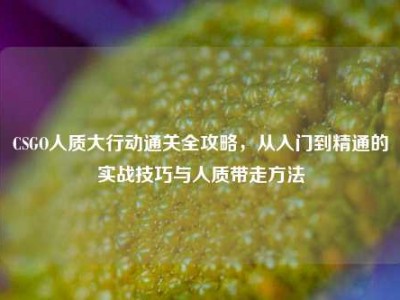 CSGO人质大行动通关全攻略，从入门到精通的实战技巧与人质带走方法