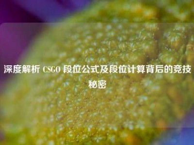 深度解析 CSGO 段位公式及段位计算背后的竞技秘密