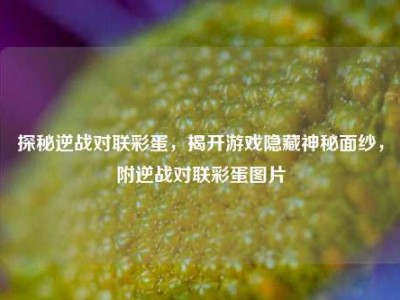 探秘逆战对联彩蛋，揭开游戏隐藏神秘面纱，附逆战对联彩蛋图片
