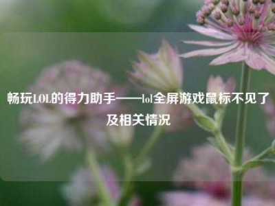 畅玩LOL的得力助手——lol全屏游戏鼠标不见了及相关情况