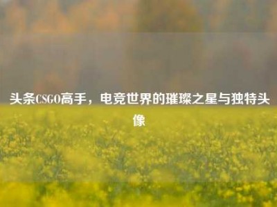 头条CSGO高手，电竞世界的璀璨之星与独特头像