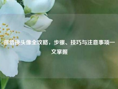 微信换头像全攻略，步骤、技巧与注意事项一文掌握