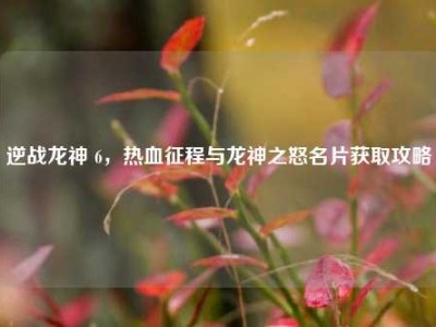 逆战龙神 6，热血征程与龙神之怒名片获取攻略