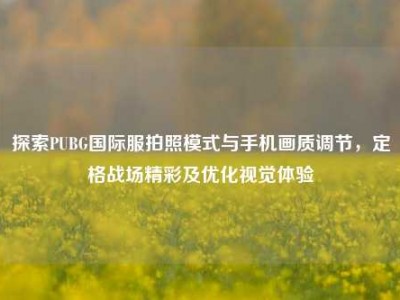 探索PUBG国际服拍照模式与手机画质调节，定格战场精彩及优化视觉体验