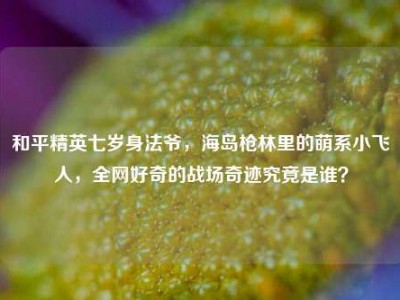 和平精英七岁身法爷，海岛枪林里的萌系小飞人，全网好奇的战场奇迹究竟是谁？