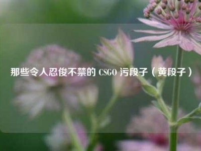 那些令人忍俊不禁的 CSGO 污段子（黄段子）