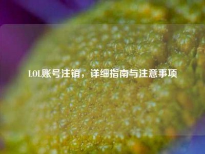 LOL账号注销，详细指南与注意事项
