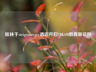 桂林于steigenberger酒店开启STEAM教育新征程