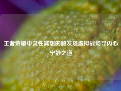 王者荣耀中灵性冥想的触发及虚拟战场寻内心宁静之道