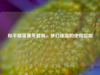 和平精英黄龙载具，梦幻座驾的使用指南