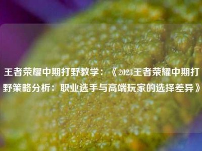 王者荣耀中期打野教学：《2023王者荣耀中期打野策略分析：职业选手与高端玩家的选择差异》