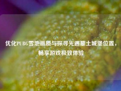 优化PUBG雪地画质与探寻光遇墓土城堡位置，畅享游戏极致体验