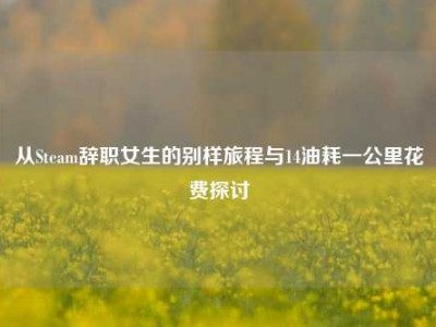 从Steam辞职女生的别样旅程与14油耗一公里花费探讨