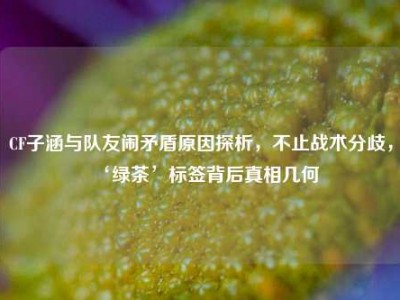 CF子涵与队友闹矛盾原因探析，不止战术分歧，‘绿茶’标签背后真相几何