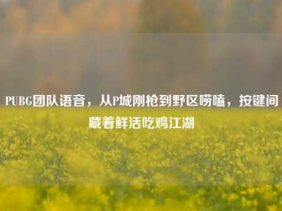 PUBG团队语音，从P城刚枪到野区唠嗑，按键间藏着鲜活吃鸡江湖