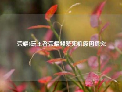 荣耀8玩王者荣耀频繁死机原因探究