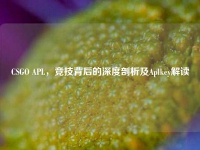 CSGO APL，竞技背后的深度剖析及Aplkey解读