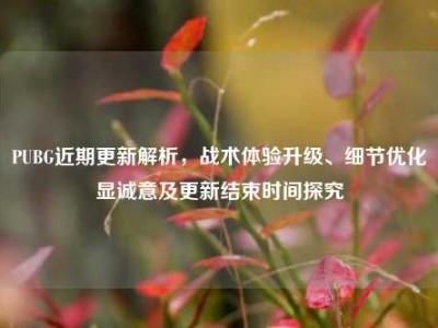 PUBG近期更新解析，战术体验升级、细节优化显诚意及更新结束时间探究
