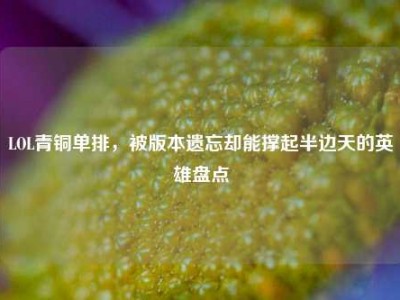 LOL青铜单排，被版本遗忘却能撑起半边天的英雄盘点