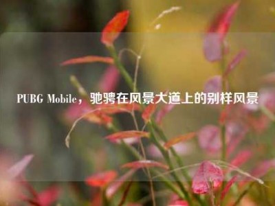 PUBG Mobile，驰骋在风景大道上的别样风景