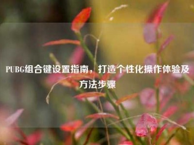 PUBG组合键设置指南，打造个性化操作体验及方法步骤
