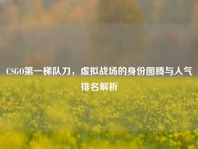 CSGO第一梯队刀，虚拟战场的身份图腾与人气排名解析