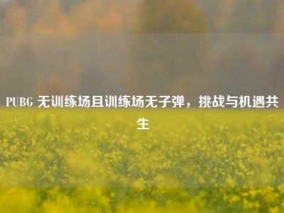 PUBG 无训练场且训练场无子弹，挑战与机遇共生