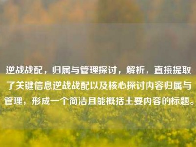 逆战战配，归属与管理探讨，解析，直接提取了关键信息逆战战配以及核心探讨内容归属与管理，形成一个简洁且能概括主要内容的标题。