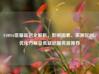 COD16亚服延迟全解析，影响因素、实测区间、优化方案及低延迟服务器推荐